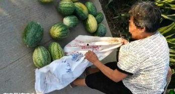 漳州吃瓜最新事件爆料,揭秘背后惊人真相  第2张